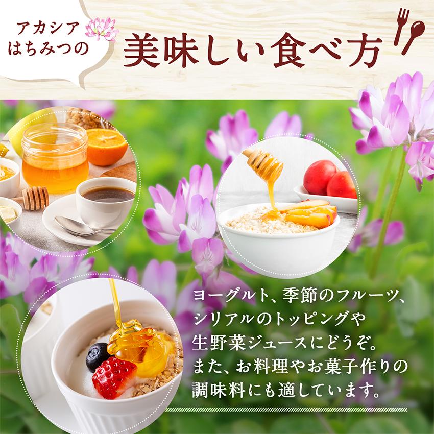 ハンガリー産アカシアはちみつ500gポリ 1本 送料無料 : 熊手のはちみつ