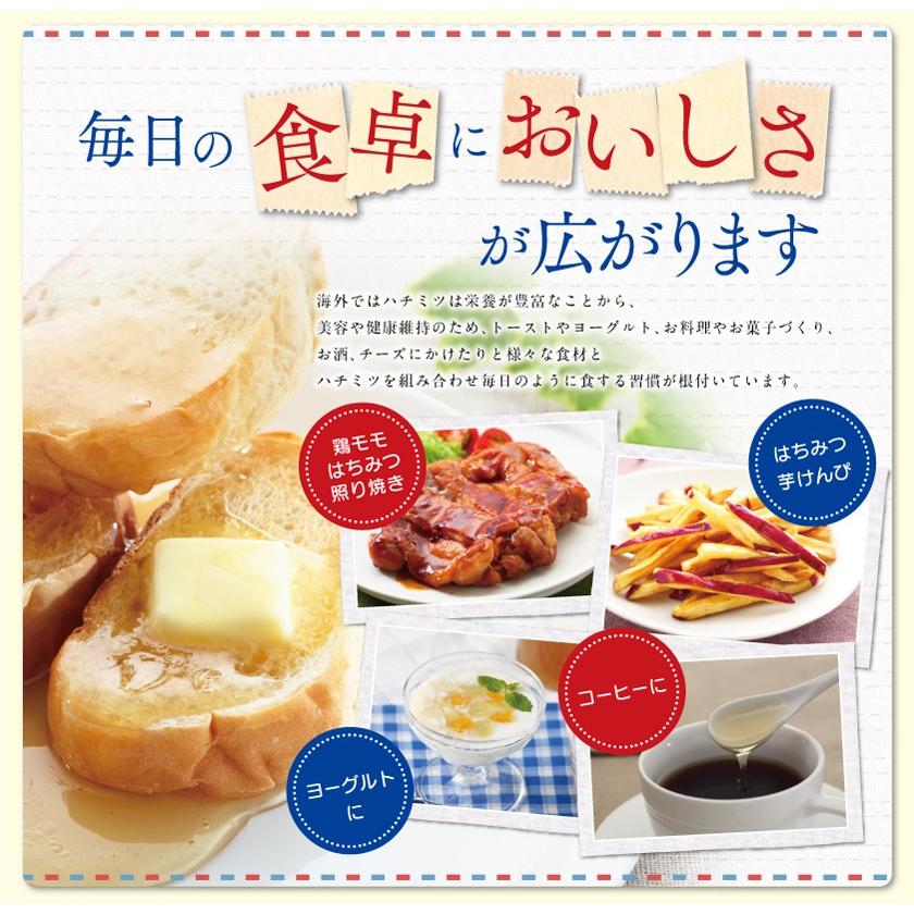 熊手のはちみつ はちみつ 業務用 オリジナルブレンド(中国、イタリア