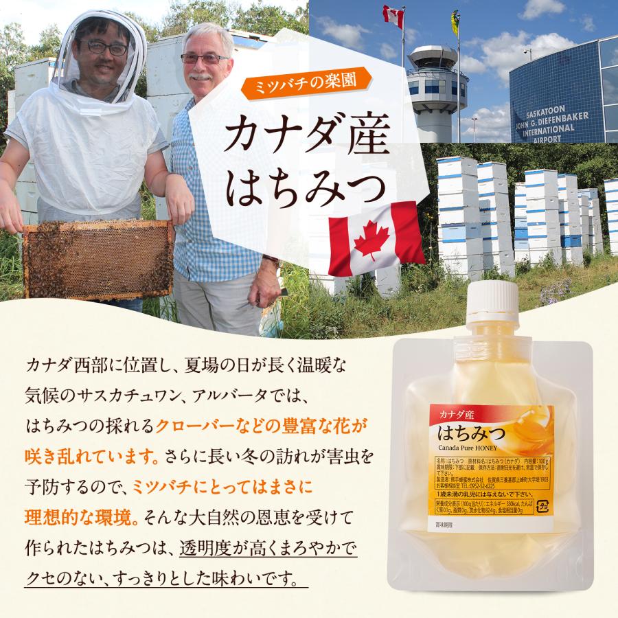 5種類蜂蜜セット(ハンガリーアカシア・カナダ・ウクライナ・アルゼンチン・オリジナルアカシア）各100g×5個  メール便限定 送料無料 お試し商品 サンプル　爆買 | 熊手のはちみつ | 12