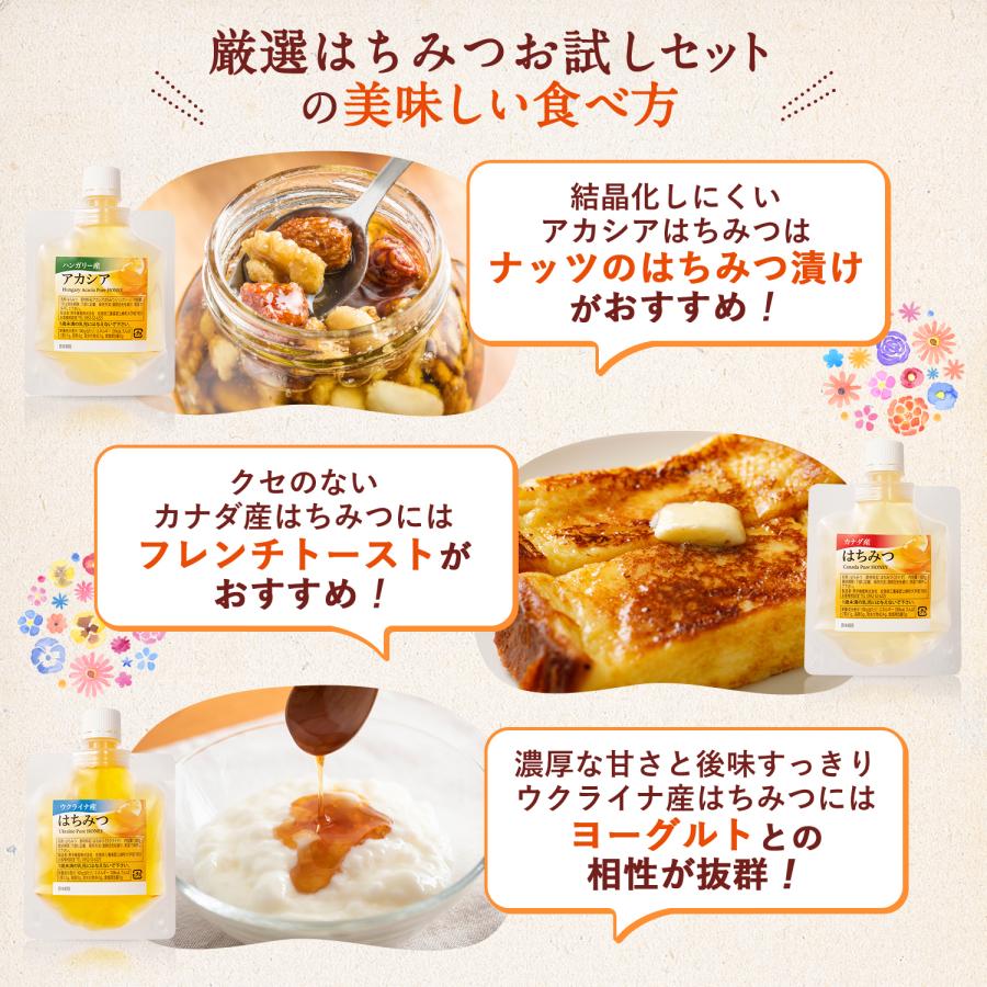 5種類蜂蜜セット(ハンガリーアカシア・カナダ・ウクライナ・アルゼンチン・オリジナルアカシア）各100g×5個  メール便限定 送料無料 お試し商品 サンプル　爆買 | 熊手のはちみつ | 17