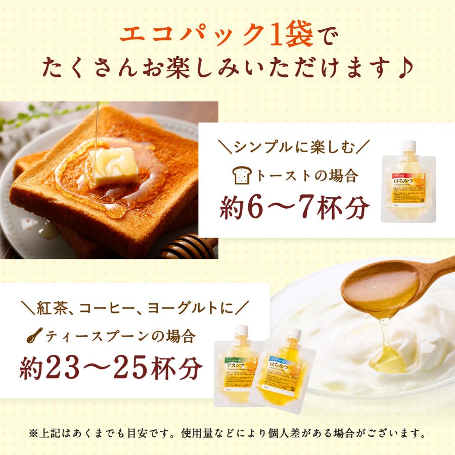 5種類蜂蜜セット(ハンガリーアカシア・カナダ・ウクライナ・アルゼンチン・オリジナルアカシア）各100g×5個  メール便限定 送料無料 お試し商品 サンプル　爆買 | 熊手のはちみつ | 20