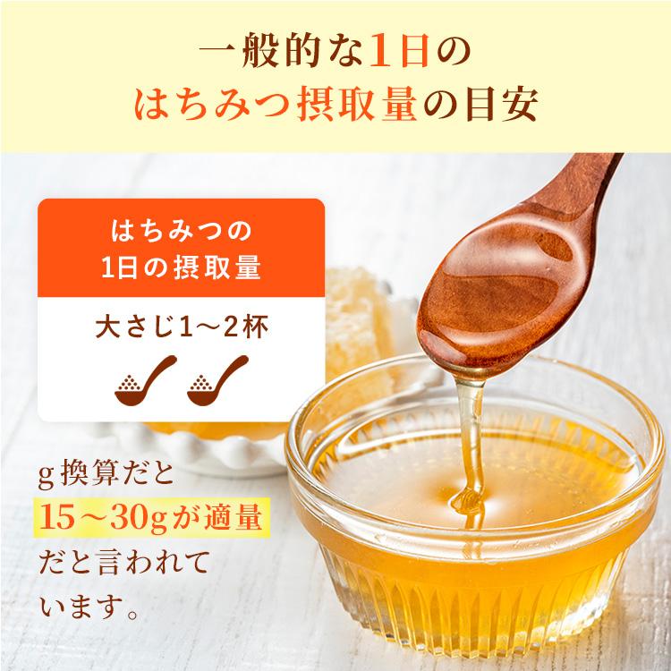 はちみつ 業務用 ウクライナ産純粋蜂蜜 2ｋｇ 純粋蜂蜜 送料無料 爆買 | 熊手のはちみつ | 18