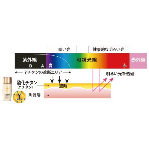 VIVANT JOIE 日焼け止め ビーバンジョア 薬用UV美白 VIVANT JOIE 日焼け止め ビーバンジョア 薬用UV美白
