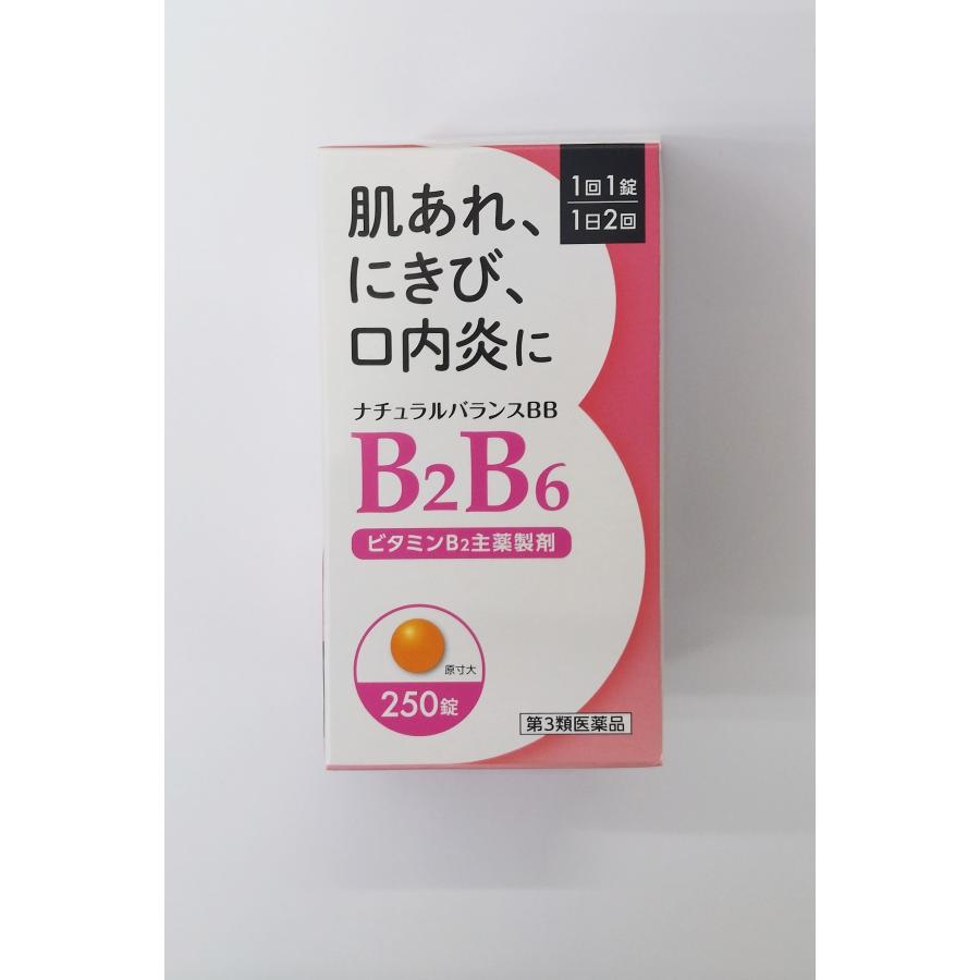 第3類医薬品) ナチュラルバランスBB 250錠(新パッケージ）爆買