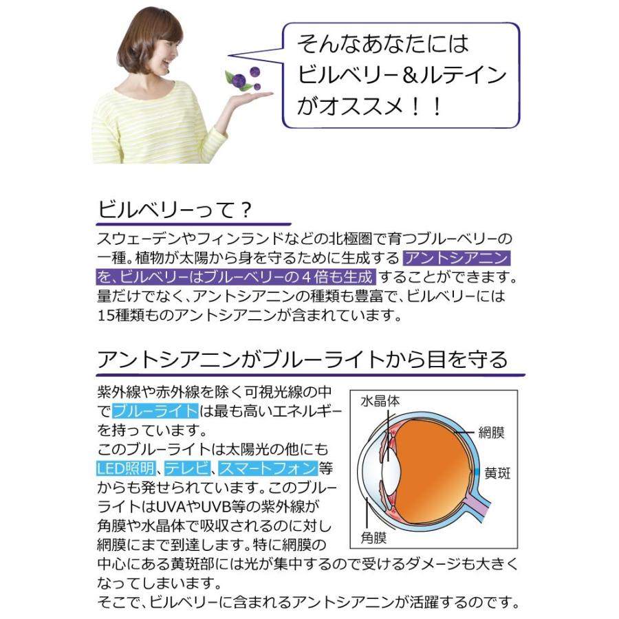 送料無料 300円均一 お試しサプリ ビルベリー ルテイン コエンザイムq10 サプリ 疲れ目 かすみ目 紫外線 ブルーライト アントシアニン カシス アサイー ポイント Gik Sp059 39元気一番健康ヤフー店 通販 Yahoo ショッピング
