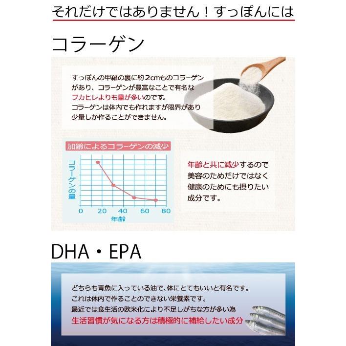 送料無料 300円均一 お試し サプリ すっぽんエキスα(アルファー) 国産