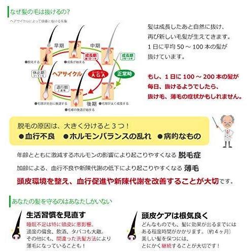 3本セット 薬用 レイソー 富貴神 120ml 育毛剤 和漢植物エキス配合 抜け毛 細毛 増毛 円形脱毛 予防 フケ かゆみ 頭皮マッサージ 医薬部外品_3