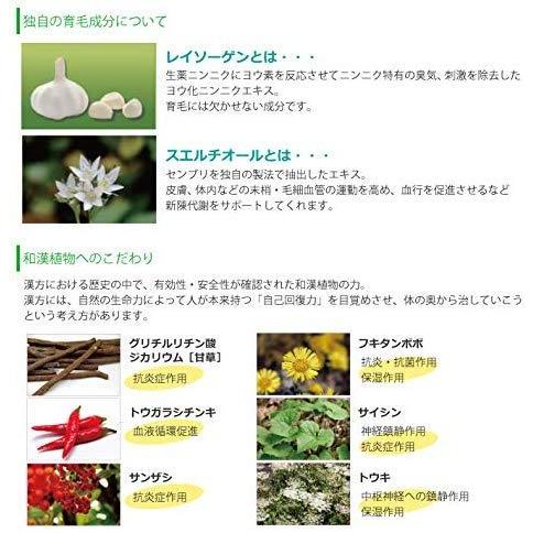 3本セット 薬用 レイソー 富貴神 120ml 育毛剤 和漢植物エキス配合 抜け毛 細毛 増毛 円形脱毛 予防 フケ かゆみ 頭皮マッサージ 医薬部外品_4