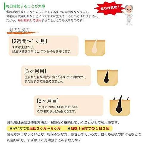 3本セット 薬用 レイソー 富貴神 120ml 育毛剤 和漢植物エキス配合 抜け毛 細毛 増毛 円形脱毛 予防 フケ かゆみ 頭皮マッサージ 医薬部外品_5