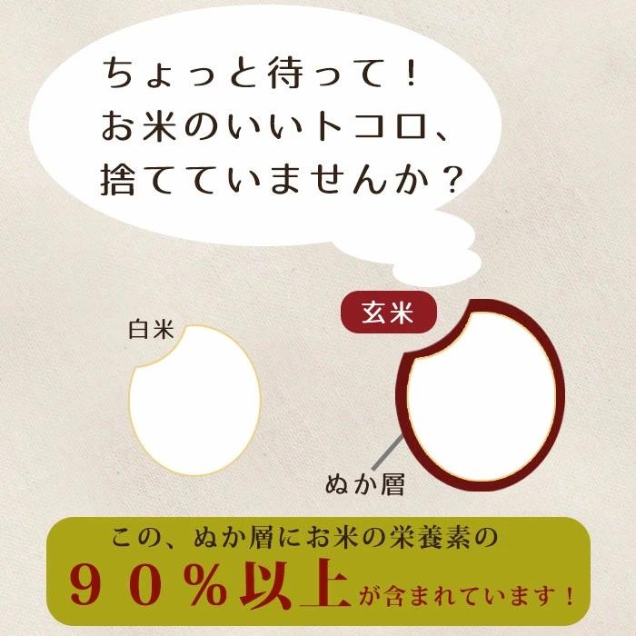 島根県産米100％使用 食べる米ぬかパウダー ぬかだけん 250g(50g×5袋) 国産 食用（nk005）食物繊維 粉末 米糠 こめぬか 粉末 玄米 腸活 便秘解消 美容 健康 |  | 01