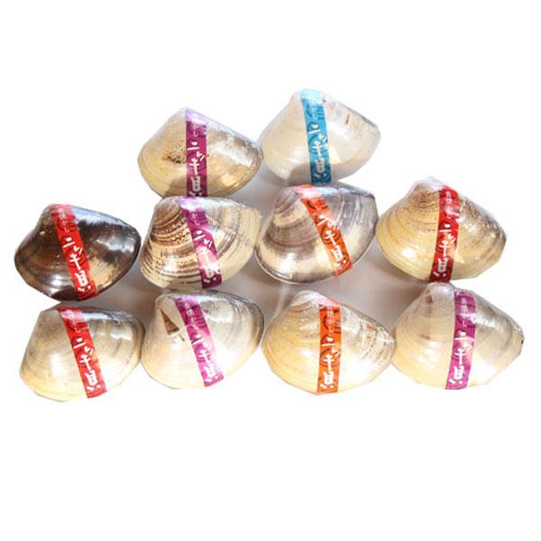 お菓子 詰め合わせ 昔懐かしいお菓子 西八製菓 ニッキ貝 10コ入り