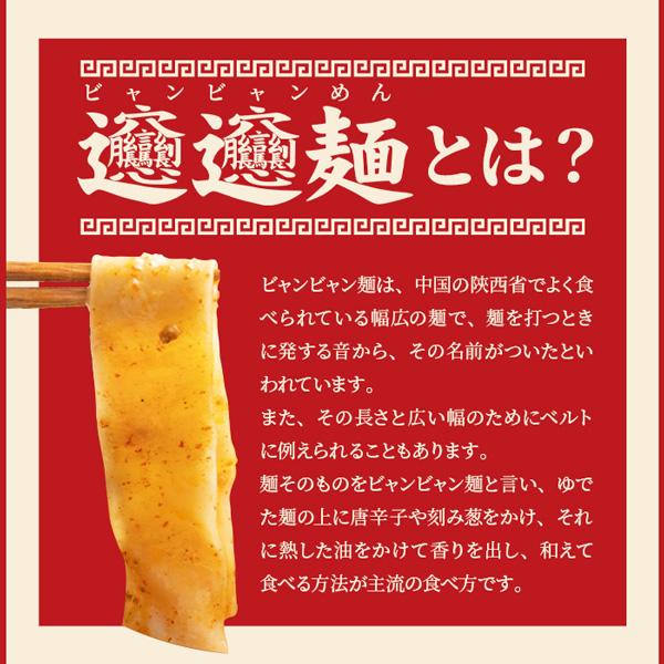 メーカー直送) 話題の中華麺☆ご家庭で本場の味を！！ビャンビャン麺4