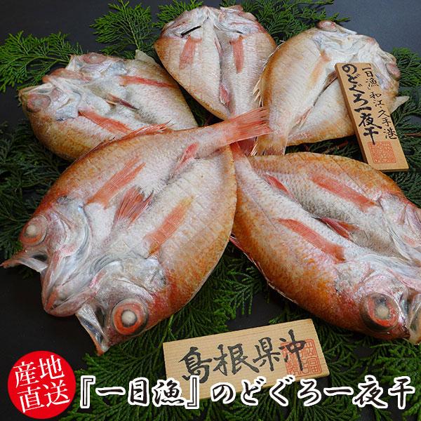 岡富商店 『一日漁』のどぐろ一夜干 410g〈5〜6枚〉冷凍 干物セット ギフト(sot124) | 