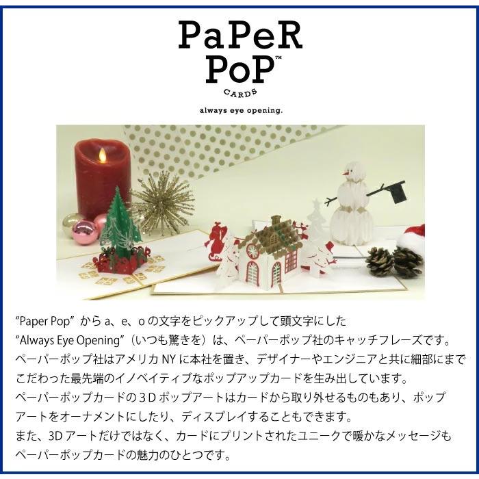 PaPeRPoPCARDS メッセージカード グリーティングカード ペーパーポップ 3Dポップアップ 2羽の白鳥 153-Two Swans 3822020｜39surprise｜03