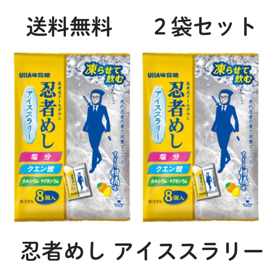 2袋セット UHA味覚糖 忍者めし アイススラリー すっきり柑橘系味 1袋