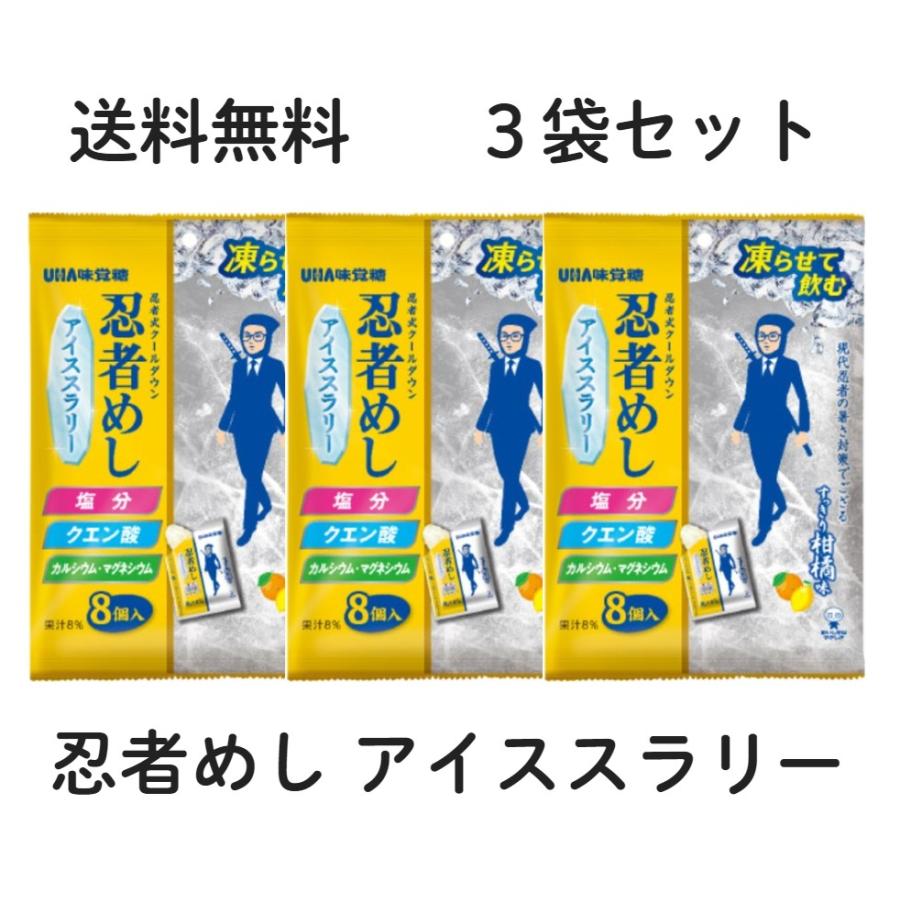 3袋セット UHA味覚糖 忍者めし アイススラリー すっきり柑橘系味 1袋