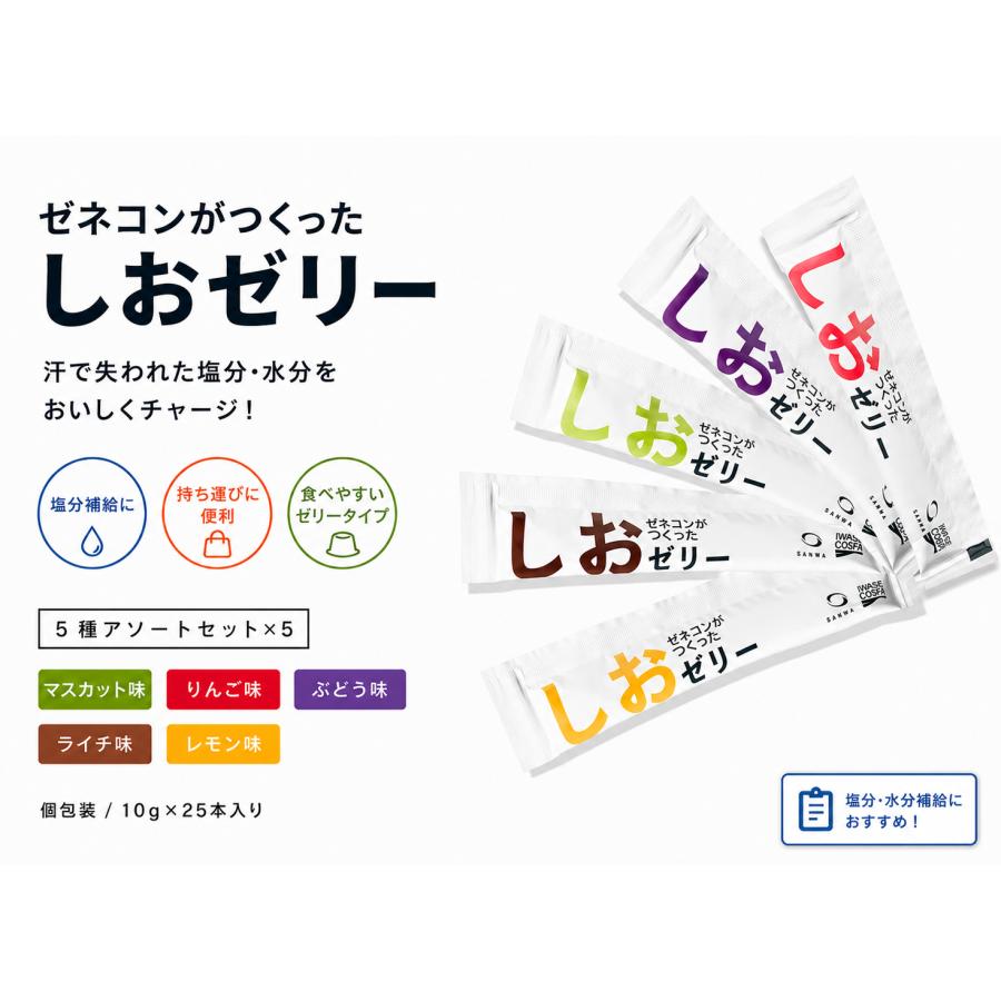 ゼネコンがつくったしおゼリー 5種アソート 25本セット（内容が分かる