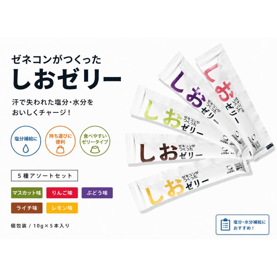ゼネコンがつくったしおゼリー 5種アソート 5本セット（お試し）10g 個