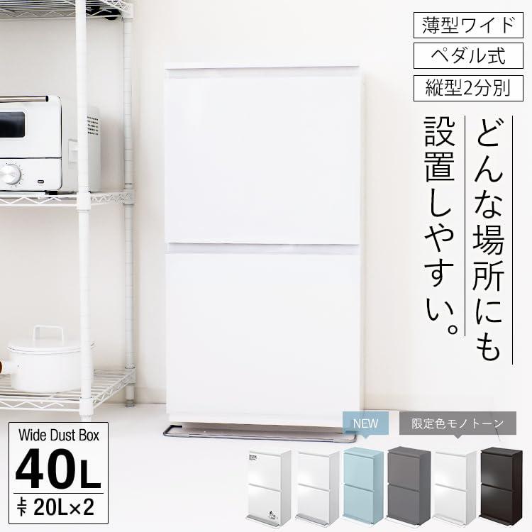 半完成品】アスベル ゴミ箱 40L 2段 分別 縦型 薄型 収納ボックス