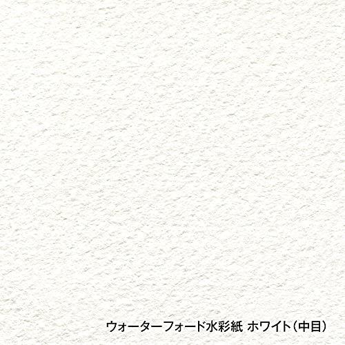 ホルベイン ウォーターフォード水彩紙 EHB-F8 ホワイト 中目 300g F8
