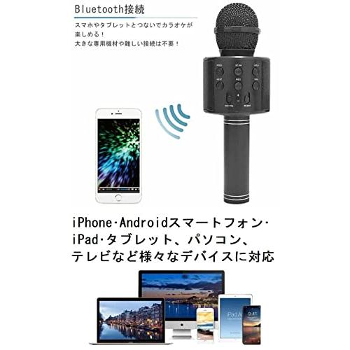 デジタルランド(Digital Land) Bluetooth カラオケマイク 様々な