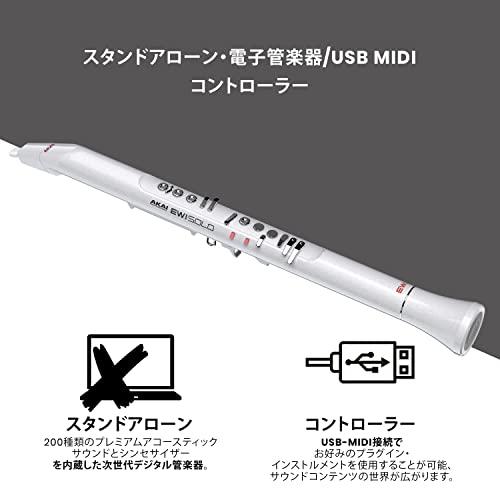 Akai Professional EWI Solo ウインドシンセサイザー 電子管楽器