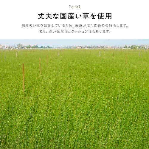 イケヒコ い草 自然素材 ラグ カーペット 花ござ 裏張りなし 長方形