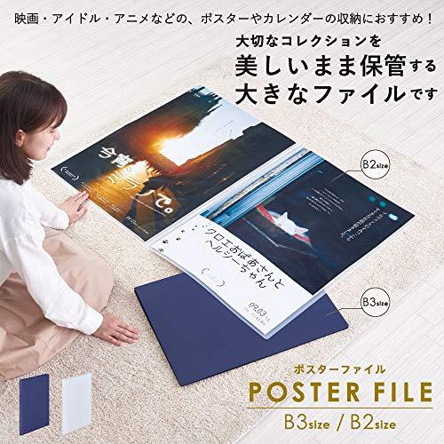 【本日限定】【2種セット‼︎】 【超希少品‼︎】 BABYL クリアファイル 通信販売限定♡BABY/PIRATESオリジナルA4クリアファイルセット