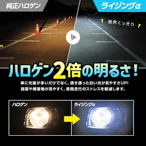 スフィアライト RIZINGα H8 H9 H11 H16 LED ヘッドライト 6000K ホワイト 12V 3600lm 車検対応 日本製