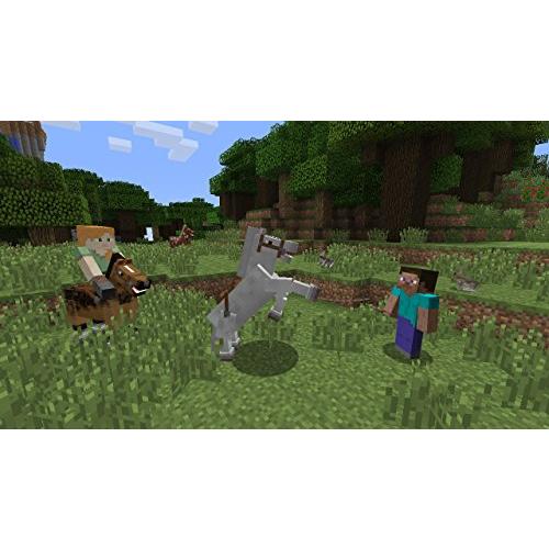 Minecraft (マインクラフト) - Switch : 39way-2nd - 通販 - Yahoo