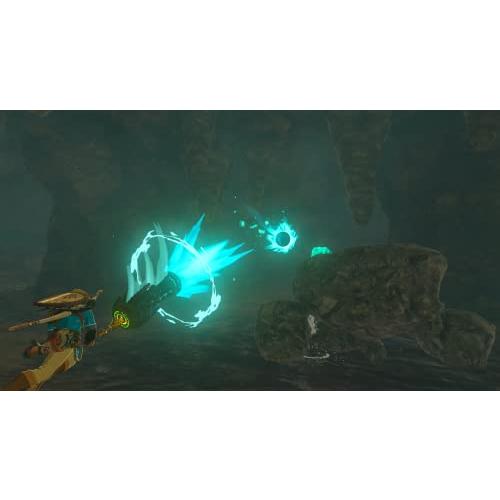 ゼルダの伝説 ティアーズ オブ ザ キングダム -Switchの画像