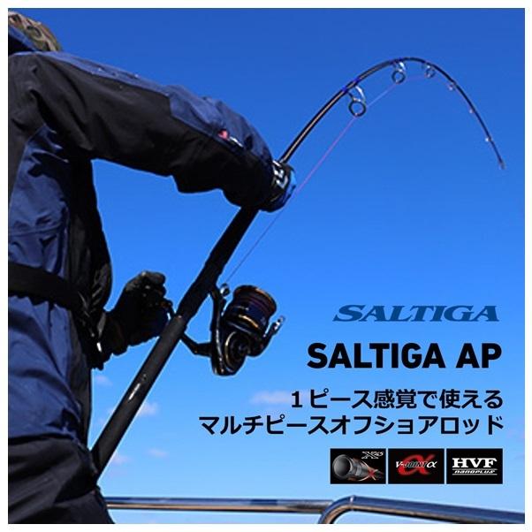 ダイワ ソルティガ AP C83-10 送料無料 [ロッド] : 4550133164309 