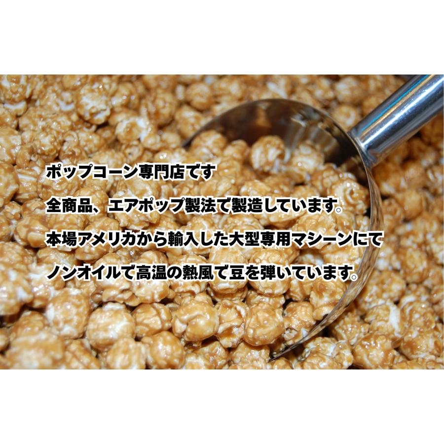 ポップコーン食べ比べ3種セット 甘×塩【送料無料/冷蔵便】おつまみ