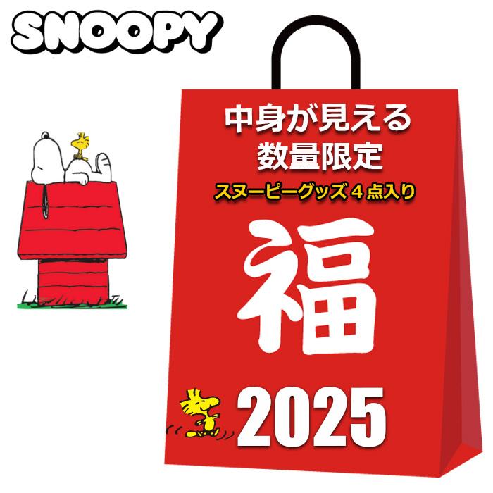 スヌーピー グッズ 2026 福袋 中身が見える 4点入り 2500円 レディース 巾着 メッセンジャーバッグ エコバッグ ソックス SNOOPY クリスマス プレゼント 2025 | SNOOPY
