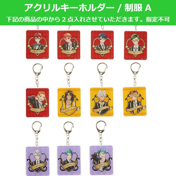 ディズニー ツイステッドワンダーランド グッズ 2026 福袋 中身が分かる 10点入り 1500円 ツイステ クリアファイル ICカードケース キーホルダー ピンバッジ | Disney | 03