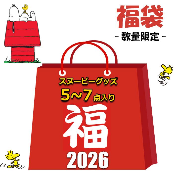 SNOOPY（スヌーピー） 福袋 2025 グッズ 5~7点 5980円 レディース
