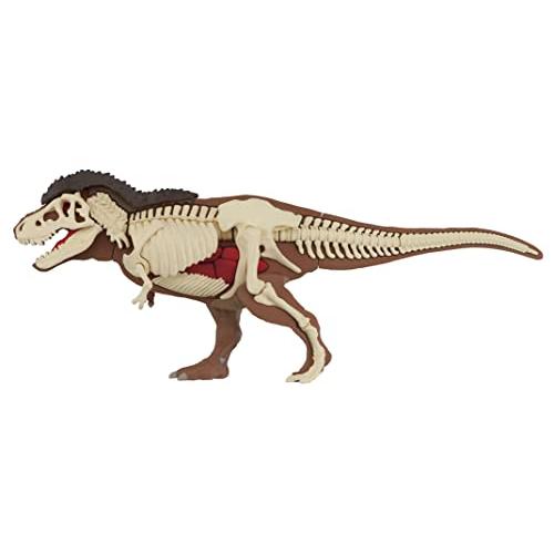 解体パズル・サイエンス ティラノサウルス復元パズル｜3c-online｜11
