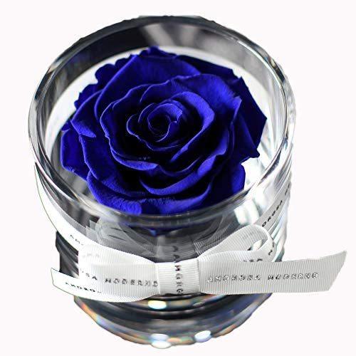 レビューで送料無料 ブリリアントs 青いバラ 感動が続く枯れない本物のバラ プリザーブドフラワー 誕生日 記念日 結婚祝 プロポーズ 青いバラ 青い バラ 全商品オープニング価格特別価格 Www Staips Net