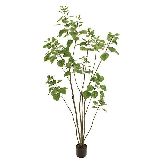 人工観葉植物 Magiq 東京堂 スモークツリーポット５ｆ Fg フェイクグリーン Fg サンクリエイトインテリアストア 通販 Yahoo ショッピング