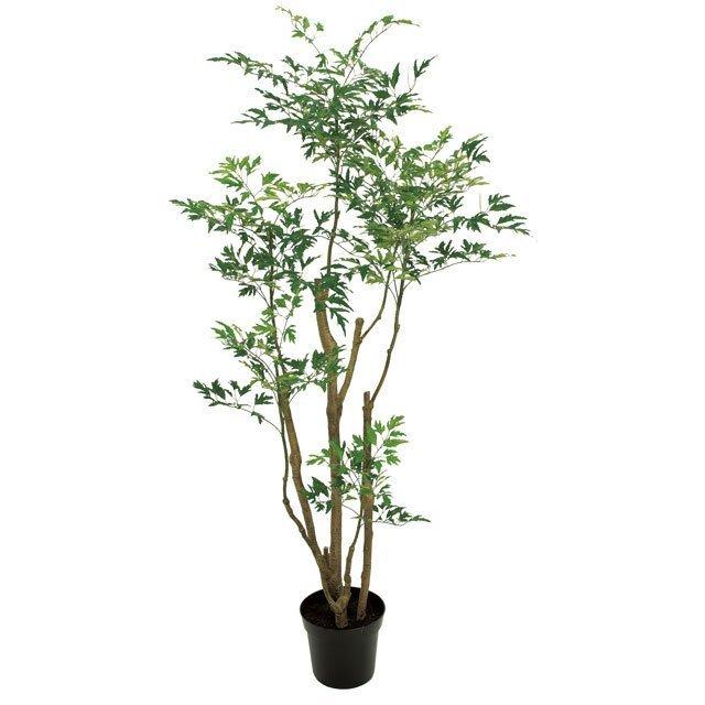 輝く高品質な 東京堂 Fg ポリシャスフルティコサ ５ｆ ｇｒｅｅｎ フェイクグリーン 人工観葉植物 時間指定不可 Www Maxipiso Com Ar