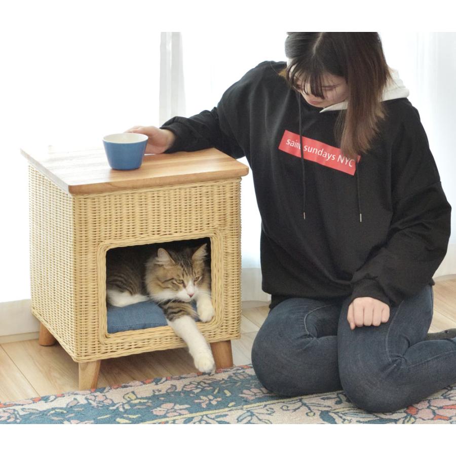 ペットハウススツール スツール テーブル ペットハウス ペットベット ペット クッション付き 脚付き 天板付き 天然木 木製 ラタン 籐 かわいい 収納 |  | 13