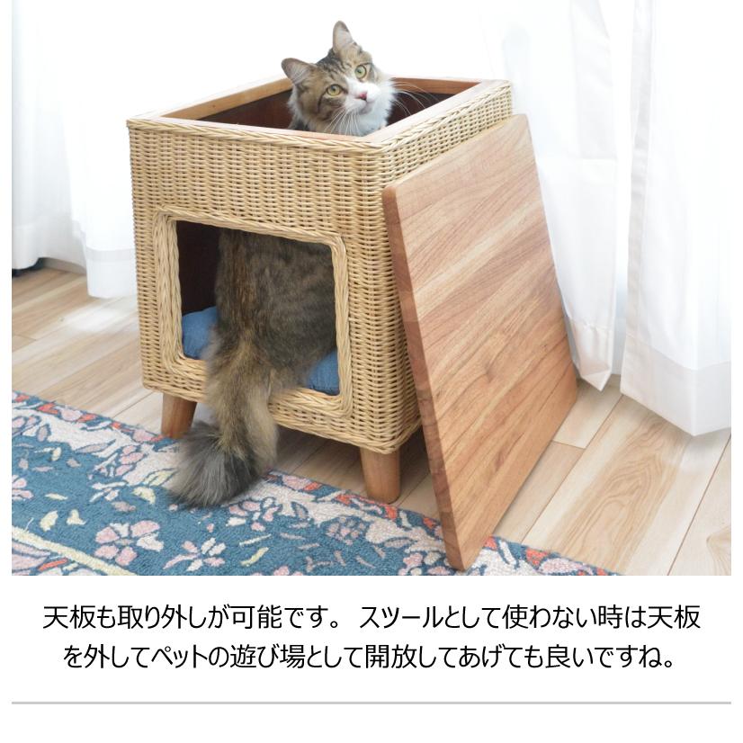 ペットハウススツール スツール テーブル ペットハウス ペットベット ペット クッション付き 脚付き 天板付き 天然木 木製 ラタン 籐 かわいい 収納 |  | 06