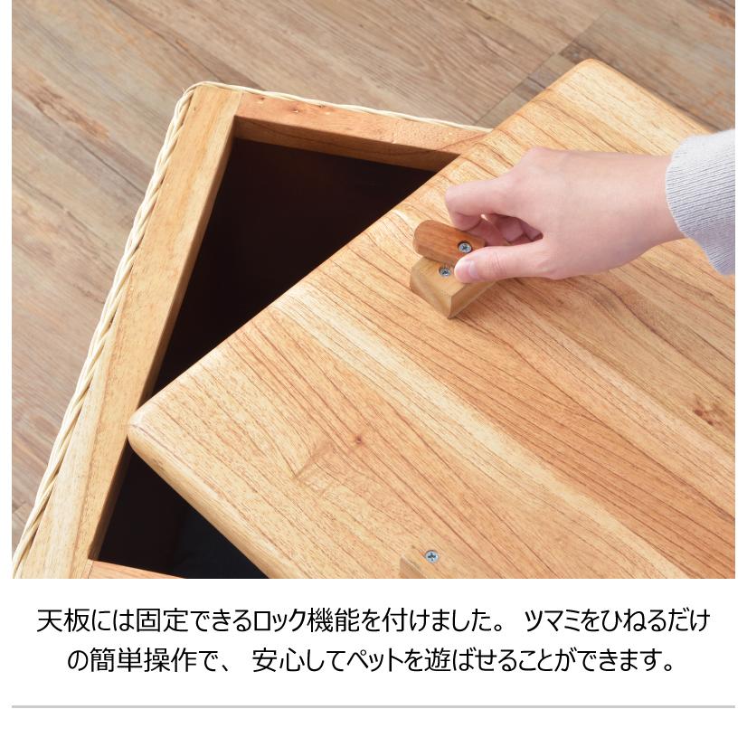 ペットハウススツール スツール テーブル ペットハウス ペットベット ペット クッション付き 脚付き 天板付き 天然木 木製 ラタン 籐 かわいい 収納 |  | 07
