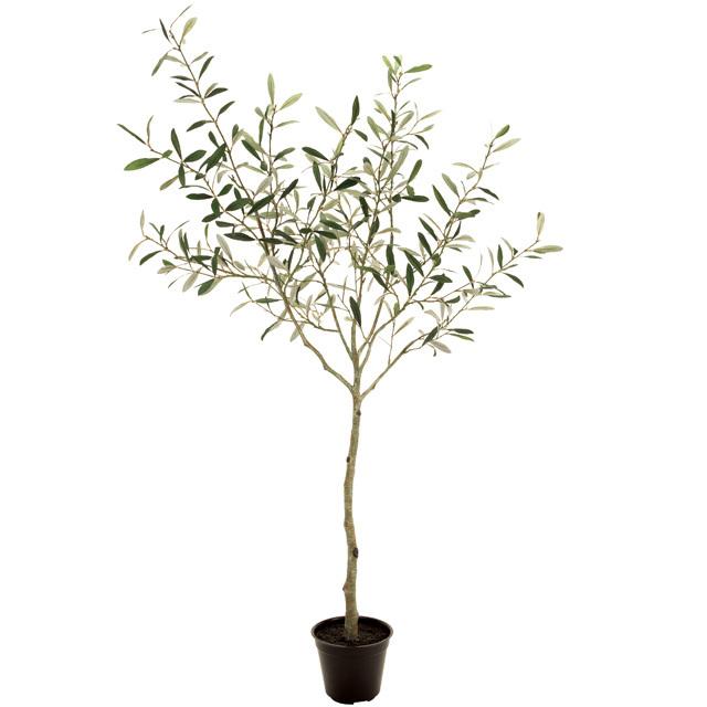 肌触りがいい 人工観葉植物 Magiq 東京堂 オリーブポット ４ｆ Fg0010 フェイクグリーン 新着商品 Www Pandas Com Br