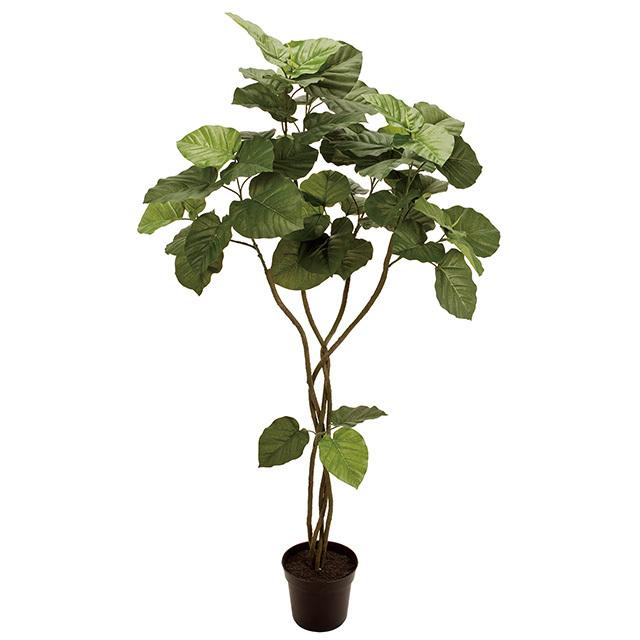 人工観葉植物 Magiq 東京堂 ウンベラータ ツイスト ５ｆ Fg フェイクグリーン Fg Ficインテリアストア 通販 Yahoo ショッピング
