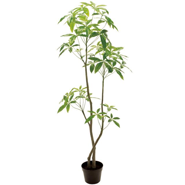 独創的 東京堂 Fg ａｘ パキラ ６ｆ ｇｒｅｅｎ フェイクグリーン 人工観葉植物 Fg Ficインテリアストア 通販 Yahoo ショッピング 手数料安い Www Pandas Com Br