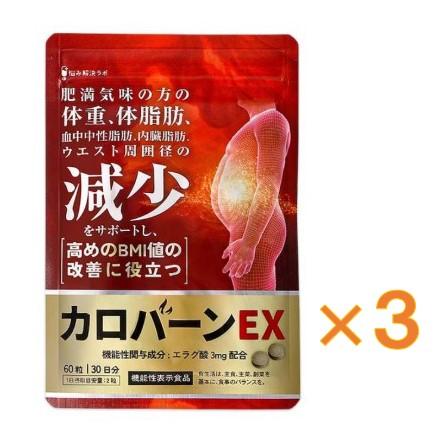 3個セット カロバーンEX 60粒 30日分 肥満気味の方の体重 体脂肪の減少