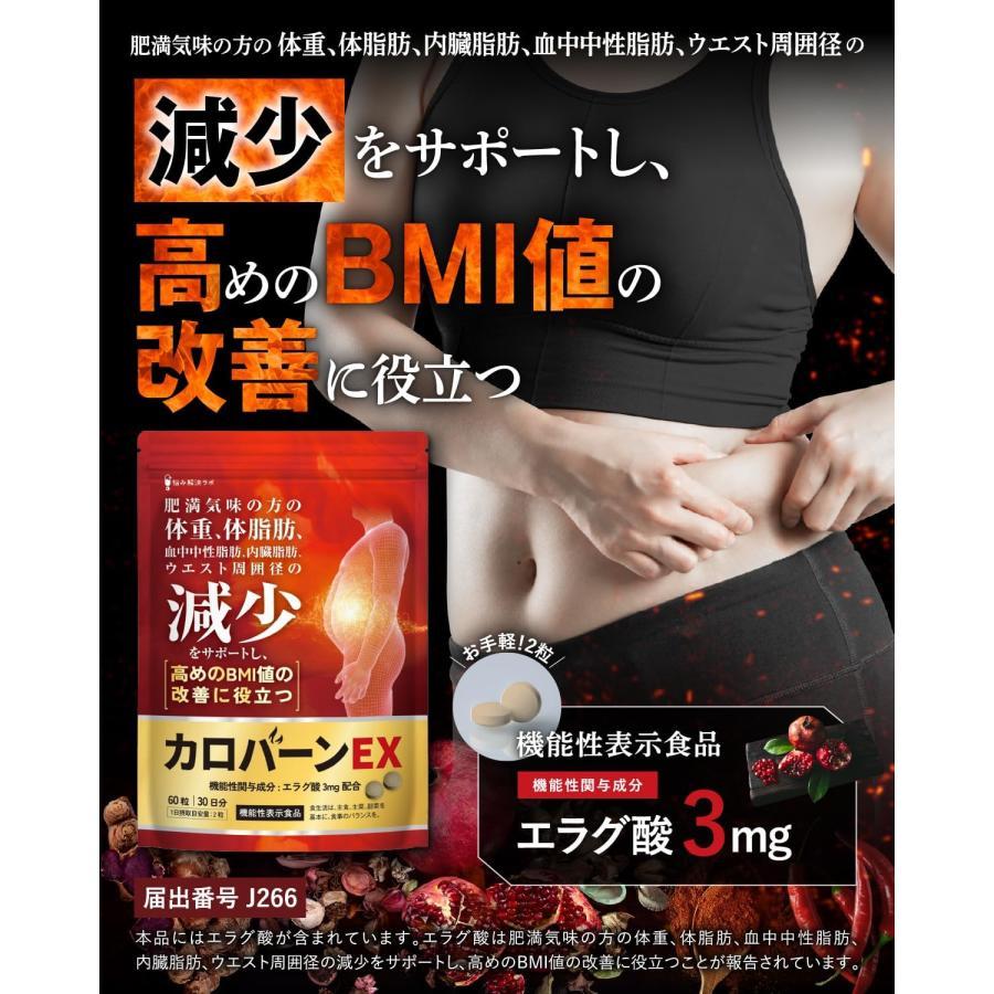 3個セット カロバーンEX 60粒 30日分 肥満気味の方の体重 体脂肪の減少