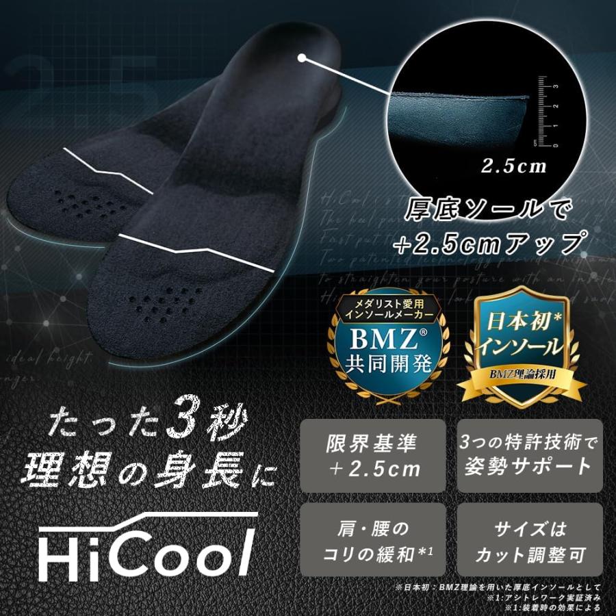 ハイクールインソール HiCool INSOLE シークレットインソール Sサイズ