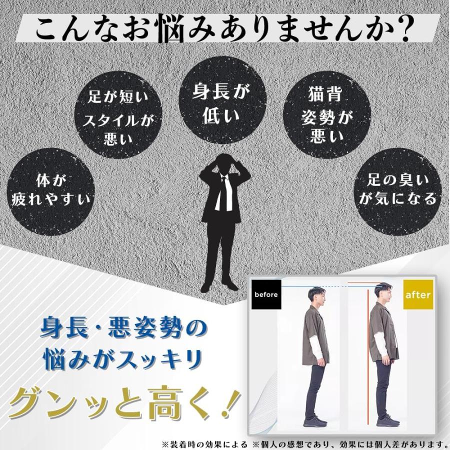 ハイクールインソール HiCool INSOLE シークレットインソール Sサイズ